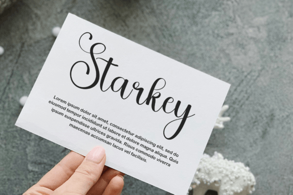 Elegant Font - Preview 3