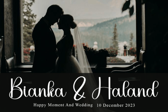 Handbag Font - Preview 1