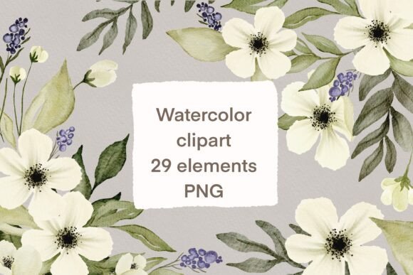 Watercolor White Flowers Clipart Green