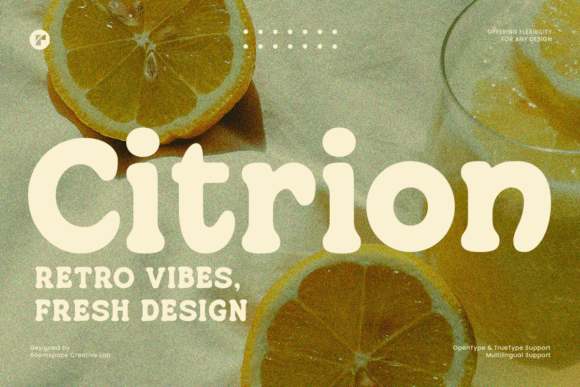 Citrion Serif Font By roomspace