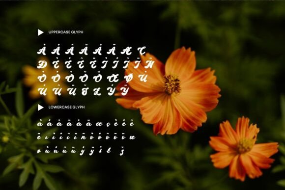 Etthany Font - Preview 5