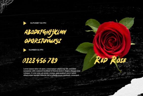 Haefunz Font - Preview 3