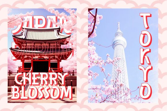 Ginjo Font - Preview 5