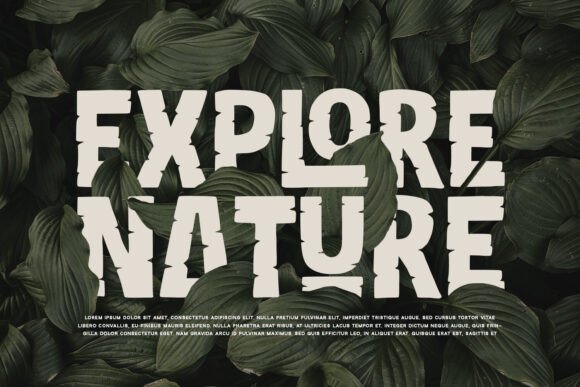 Reliction Font PNG with transparent background - Preview 4