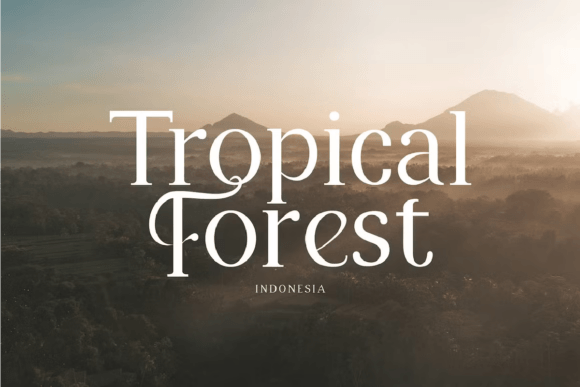 Brighton Font - Preview 6