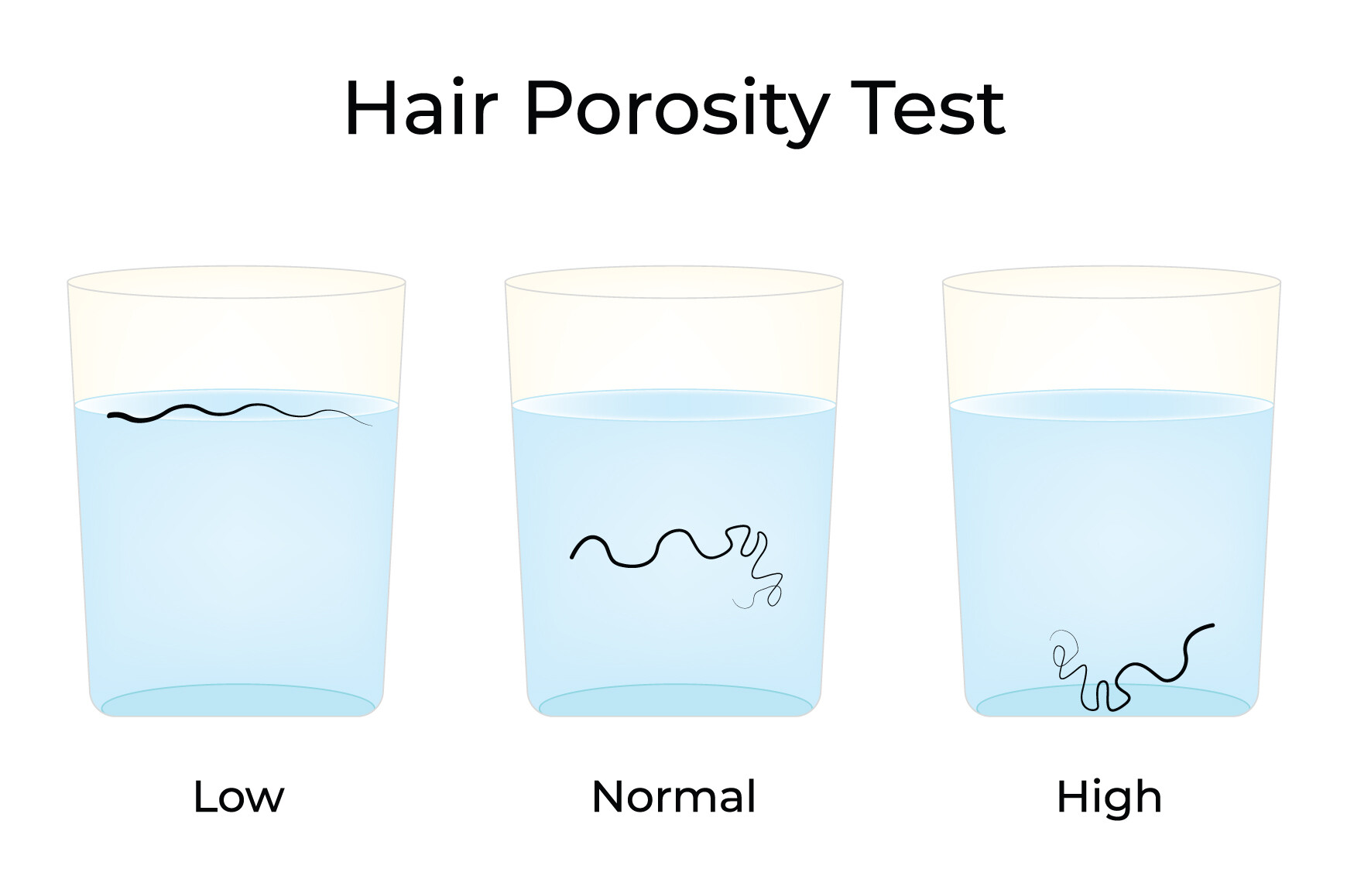 Hair Porosity Test Science Design Vector Graphic by hamjaiu · Creative ...