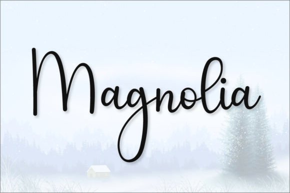 Simple Signatured Font PNG with transparent background - Preview 1