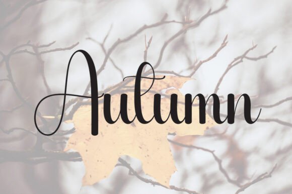 Daisy Font - Preview 1