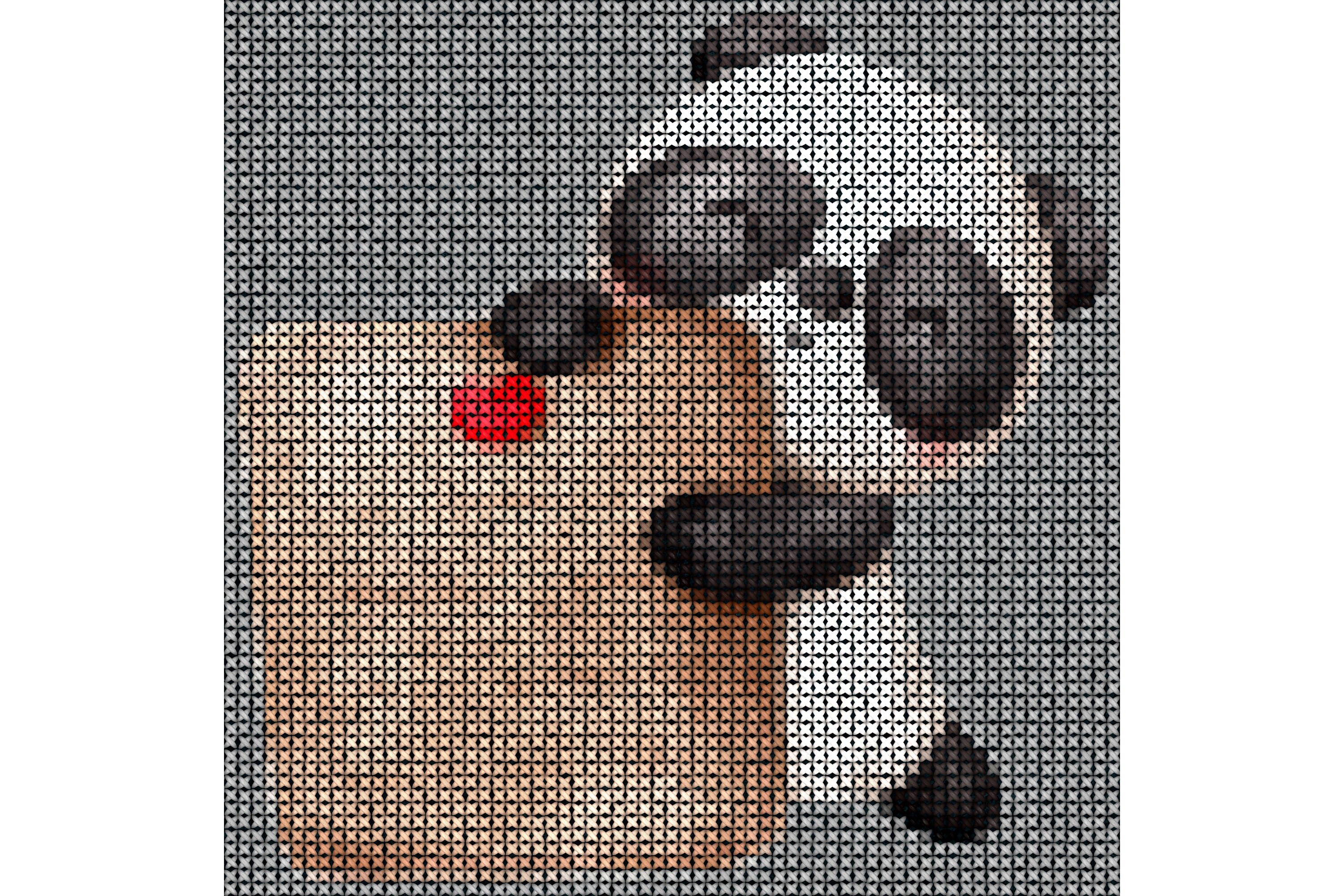 Cross Stitch 502