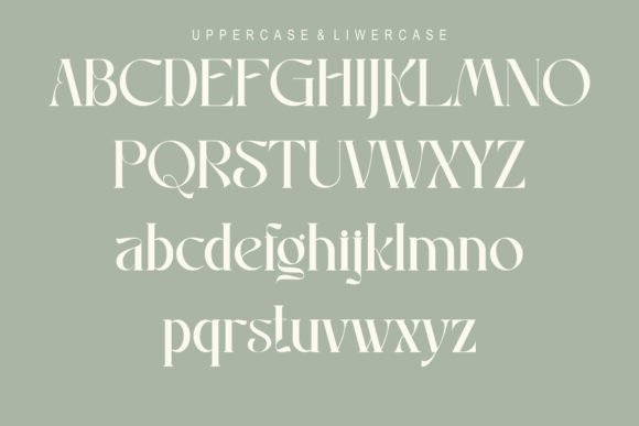 Raniosa Font PNG with transparent background - Preview 1