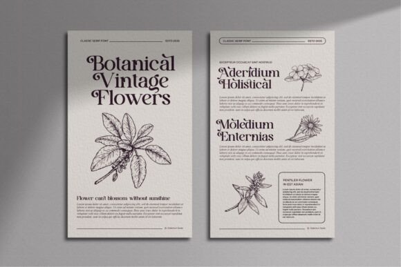 Avilla Mirabel Font PNG with transparent background - Preview 4