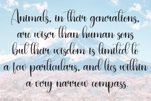 Botanical Font - Preview 5