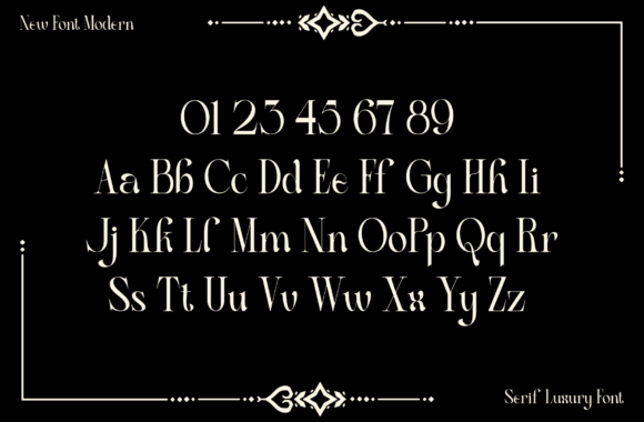 Diolin Font - Preview 4