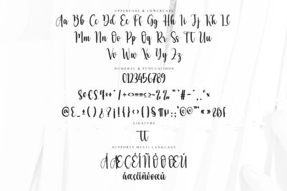 Dramatic Wedding Font - Preview 5