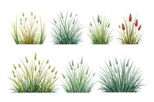 Grass Bundle Vector Art Graphic by RVECT · Creative Fabrica