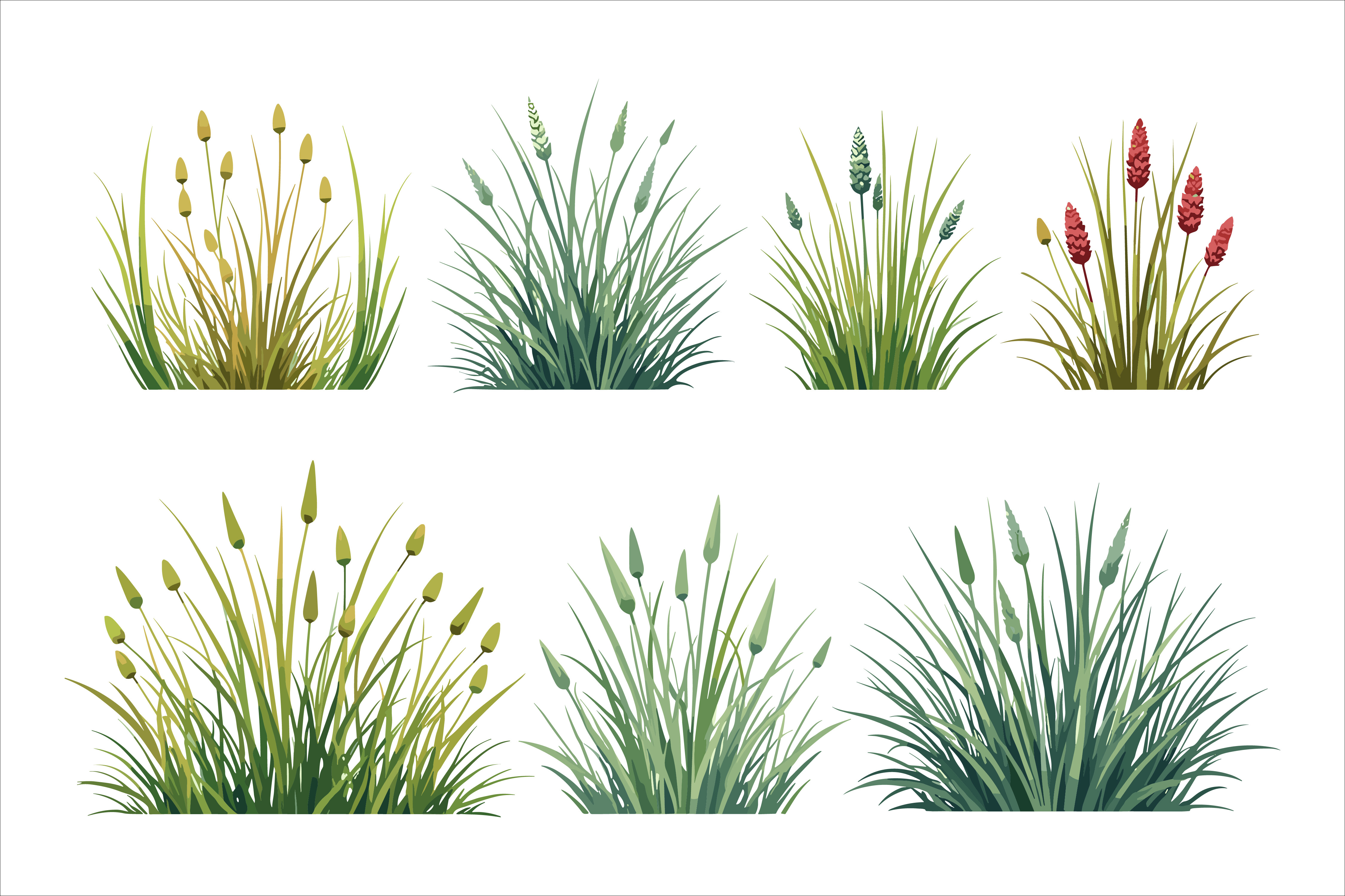 Grass Bundle Vector Art Graphic by RVECT · Creative Fabrica