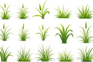 Grass Vector Clipart Bundle for Designs Graphic by Designs River ...