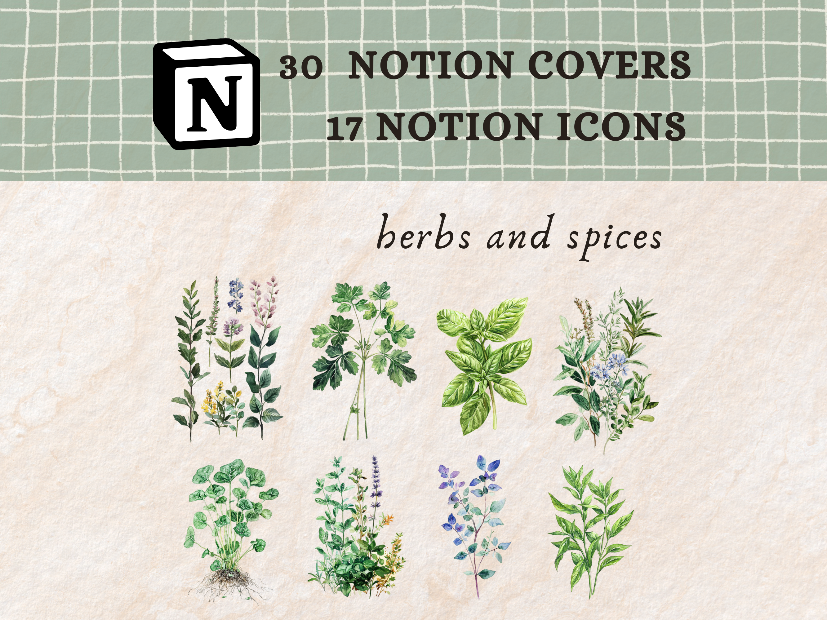 Herbs and Spices Notion Icons