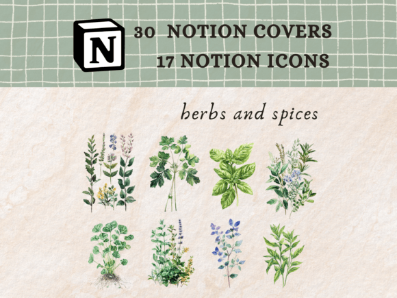 Herbs and Spices Notion Icons