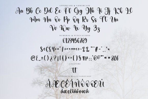 Shady Winter Font PNG with transparent background - Preview 5
