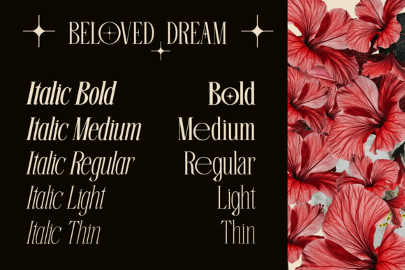 Beloved Dream Font - Preview 1