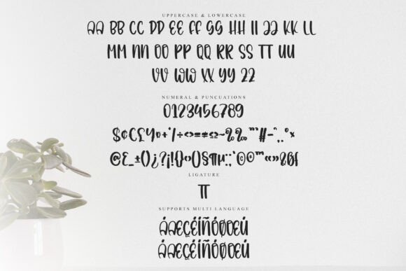 Black Jolly Font - Preview 5