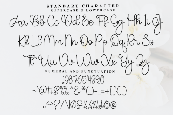 Brothers Font - Preview 4