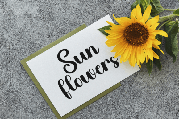 Delight Font - Preview 6
