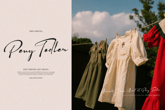 Flentha Bellyora Font - Preview 3