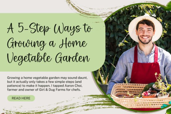 Country House Font - Preview 2