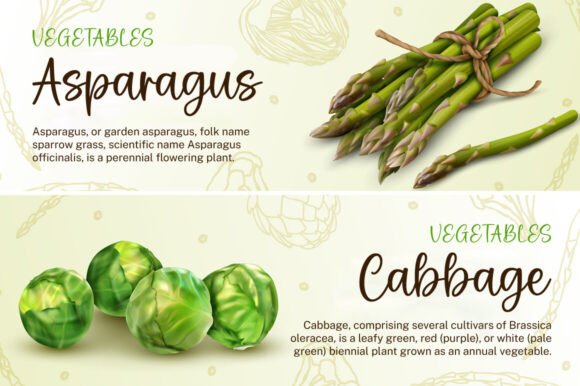 Country House Font - Preview 4