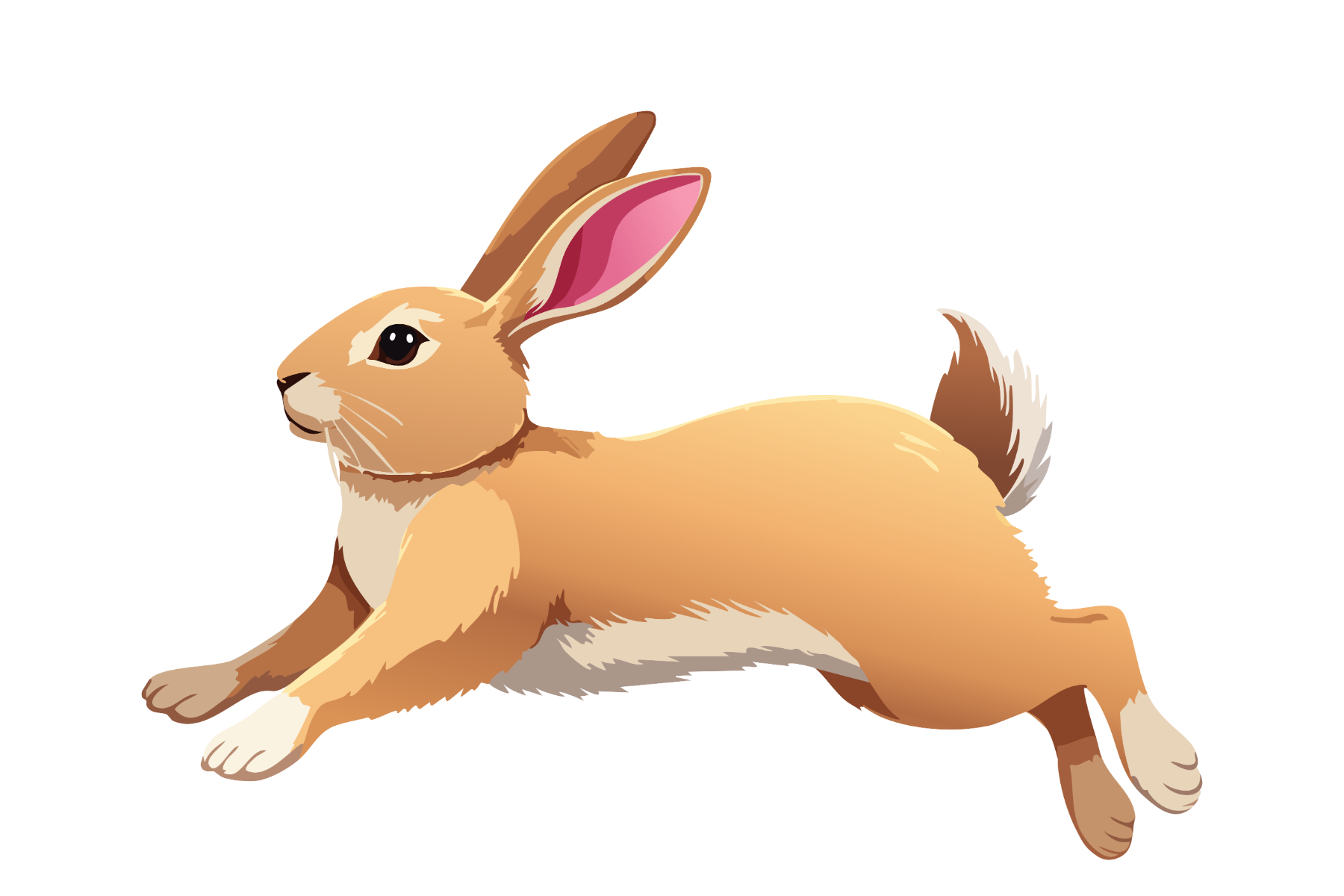 Leaping Rabbit Graphic by Vector Vault · Creative Fabrica