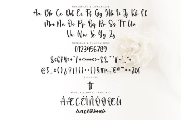 Sitter Font PNG with transparent background - Preview 5