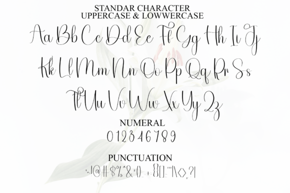 Amsterdam Font - Preview 2