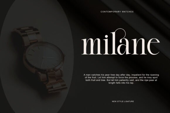 Blanck Font - Preview 3