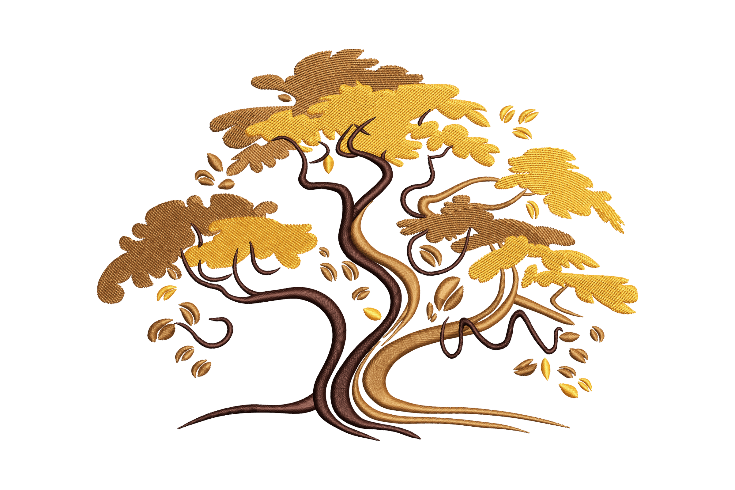 Bonsai Tree