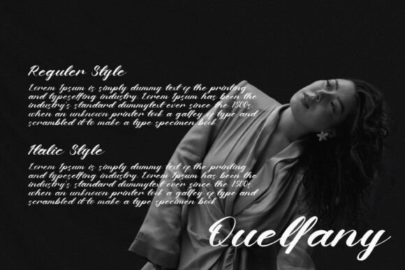 Chandeer Holestter Font - Preview 5