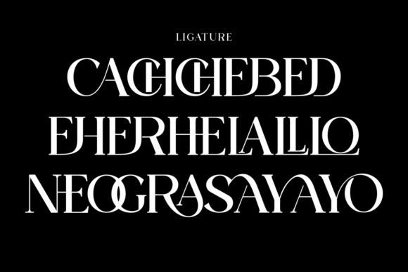 Domilla Font - Preview 5