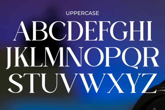 Domilla Font - Preview 6