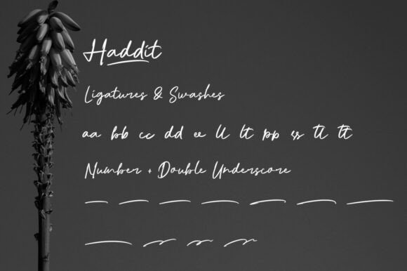 Haddit Font - Preview 1