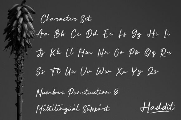 Haddit Font - Preview 2