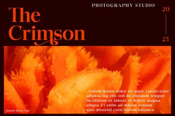 Quarter Theory Font PNG with transparent background - Preview 3