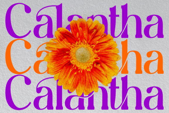 Rhenia Font PNG with transparent background - Preview 2