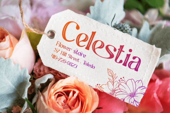 Rhenia Font PNG with transparent background - Preview 6