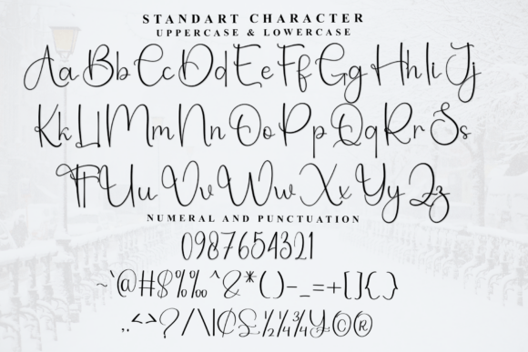 Alphabet Stylish Font - Preview 4