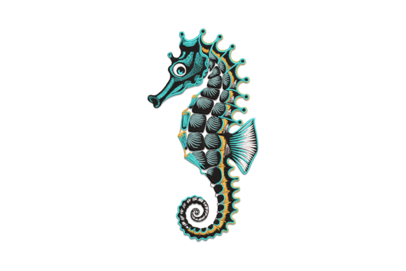 Beautiful Seahorse