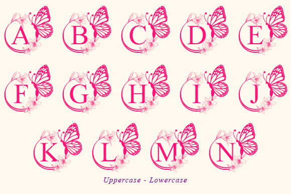Bianca Flower Monogram Font - Preview 5