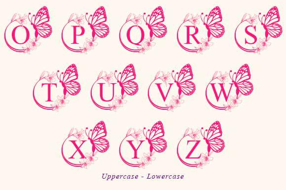 Bianca Flower Monogram Font - Preview 6