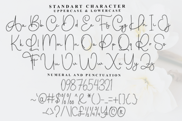 Festifal Handmade Font PNG with transparent background - Preview 4