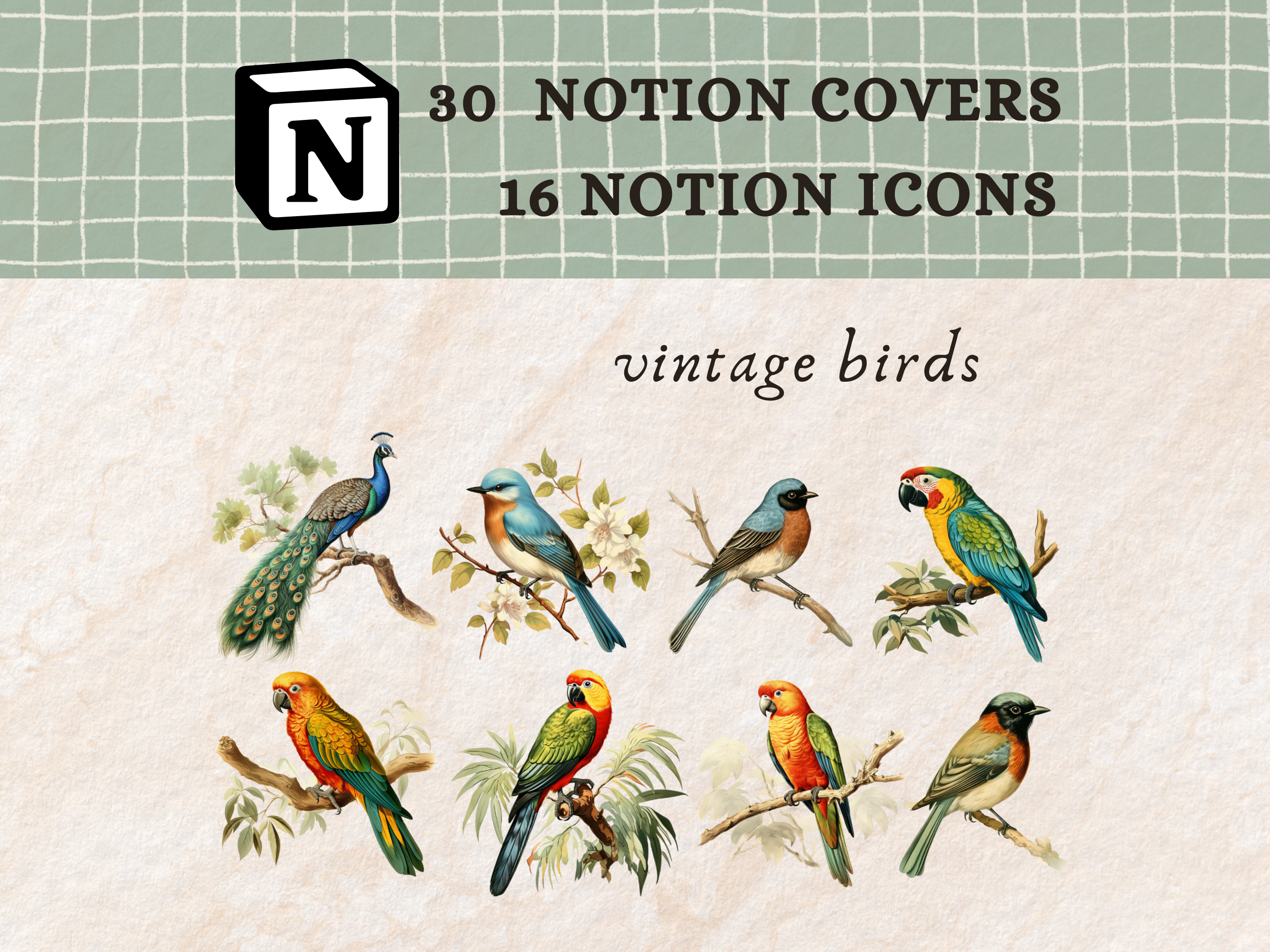 Vintage Birds Notion Icons